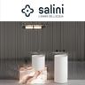 Salini