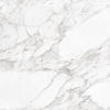 Carrara White Shine RC 60x60x0.9