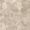 Imola Ceramica Crew Bitter CR BIT 120TO RM 120x120 ID 533827