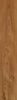 Creto Forest Amber 19.4x120 ID 545395