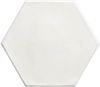 Hex White Matt 15x17.3