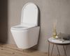 Готовые наборы для WC Vitra Zentrum Round - 5