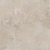 Beige Ant. Rett. 120x120