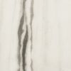 Rex Ceramiche Prexious White Fant. Glo 60x60 R ID 333023