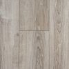Sardinia Oak